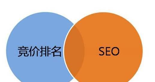 如何有效提高网站排名？SEO技巧全解析（优化网站排名技巧的介绍）