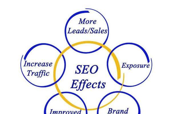 SEO基础知识详解（深入探讨SEO基础知识，带你轻松提升网站排名）