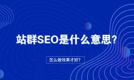 SEO技术的学习之路（从小白到专家，掌握SEO的技巧和方法）