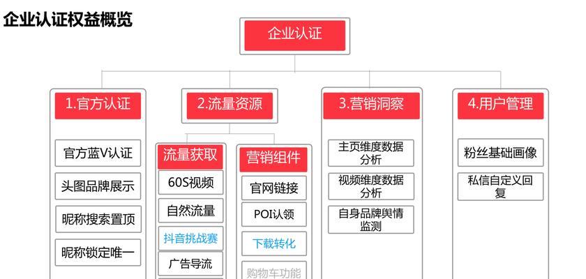 抖音服务商申请流程及注意事项（成为抖音服务商的必要步骤及注意事项）