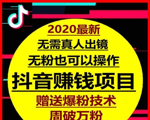 探秘抖音其他流量（抖音流量的多元化运用，让你的账号更火爆！）