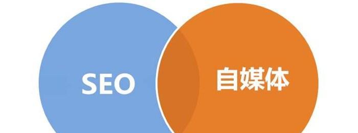 SEO优化（如何做到优化到位，抓住用户搜索的心理？）