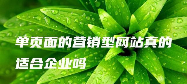 如何优化单页面网站（提升用户体验与SEO排名的技巧）