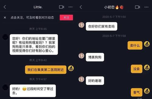 抖音卖东西，让你变身网红赚大钱（普通人也能在抖音上卖东西，学习这些技巧才能做到）