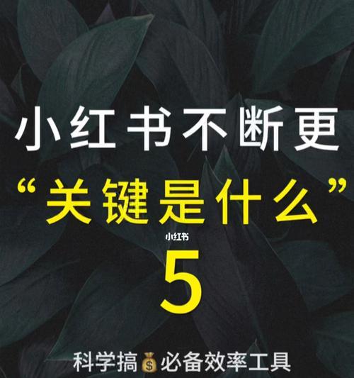 如何提高小红书粉丝数量（分享15个有效提升粉丝数量的方法）