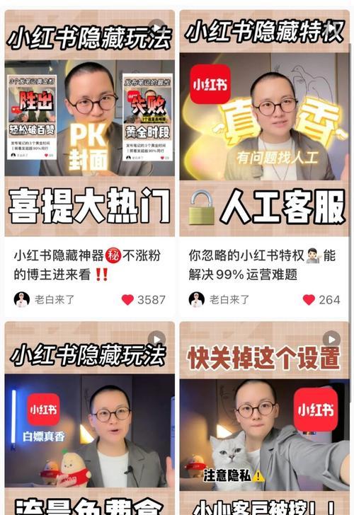 小红书运营岗位职责与要求（深度解析小红书运营岗位的重要性与入门要求）