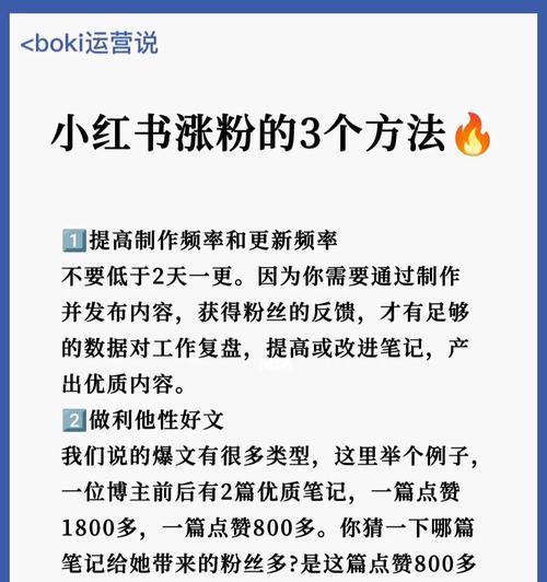 小红书运营推广技巧大揭秘（打造精准目标人群，提高营销效果）