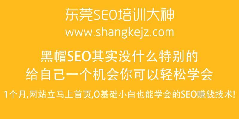 如何正确解决网站快照被劫持问题？（避免影响网站用户体验的正确方法）