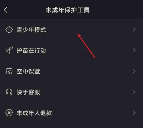 快手青少年模式的使用价值（保护未成年人健康成长的必备利器）