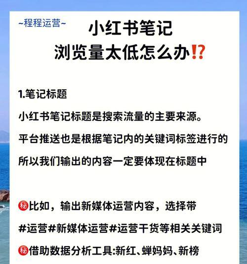 小红书播放量收益揭秘（分享经验，轻松赚钱）