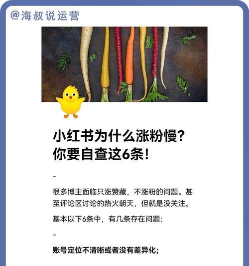 小红书零食博主的广告费多少？（探究小红书零食博主广告收入的神秘面纱）