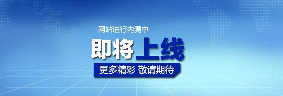 新网站上线有收录没有排名怎么解决？（百度SEO收录介绍及关键优化方法）