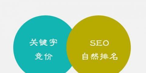 百度SEO网站优化排名指南（从方法、技巧到知识，教你把网站优化到百度首页）