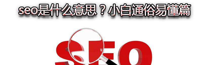 SEO小白必学（从零开始学习SEO，让你的网站排名飙升！）