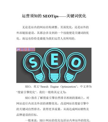 SEO优化对网站运营的重要作用（如何利用SEO优化提升网站流量与收益）