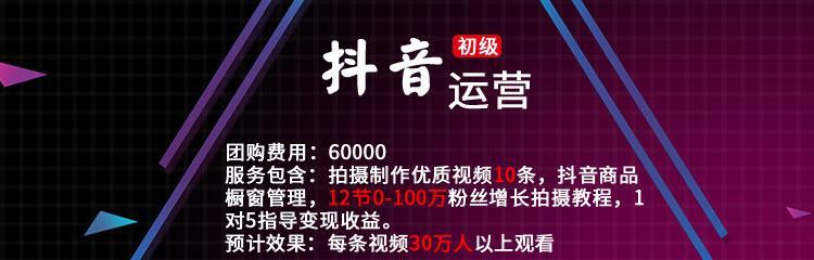 抖音飞鸽代客申请售后（了解抖音飞鸽代客申请售后的功能及优势）