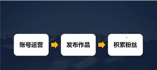 抖音个体工商户和企业入驻有何区别（探究抖音入驻方式的不同，帮助商家选择合适的入驻形式）