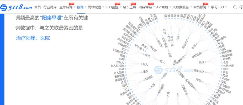 如何利用百度规划师和实时查提升网站排名（全面了解百度规划师和实时查）