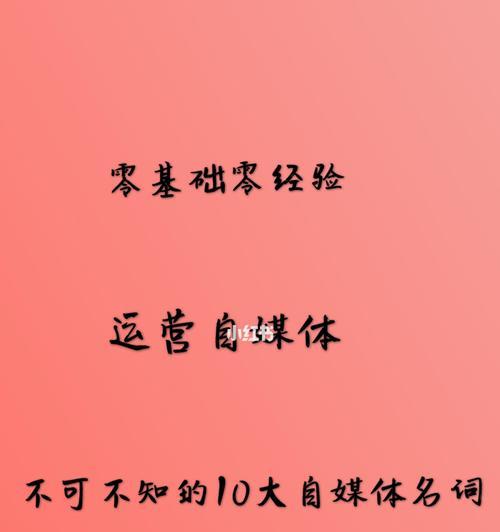 从零开始学抖音运营（打造自己的抖音号）