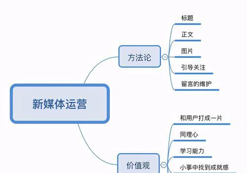 从零起步，学会抖音运营（如何开展抖音营销活动）