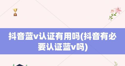 抖音蓝v认证费用及申请流程详解