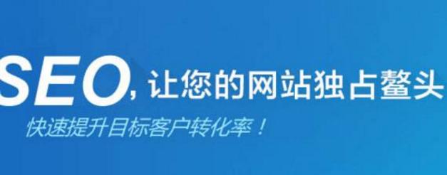 如何应对被降权的网站优化问题（掌握有效技巧）