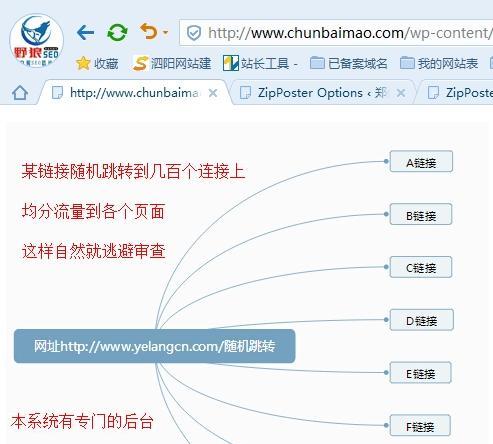 网站优化细节决定成败（掌握这些关键点）