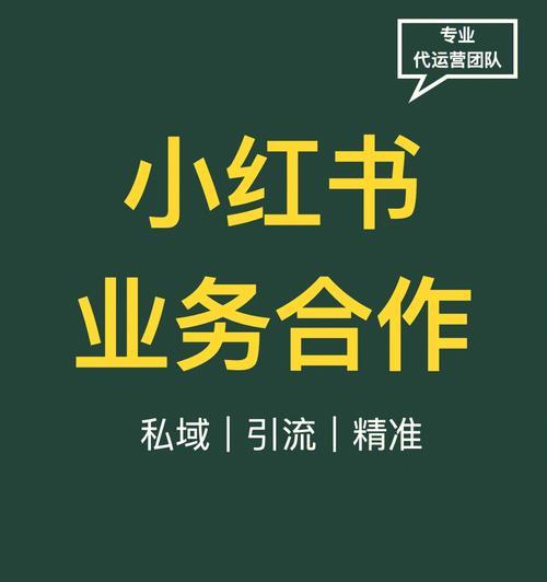 如何将小红书粉丝推广至500以上（掌握这些技巧）