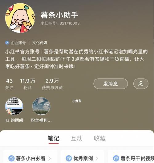 小红书开直播条件解析（了解小红书开直播的要求和限制）