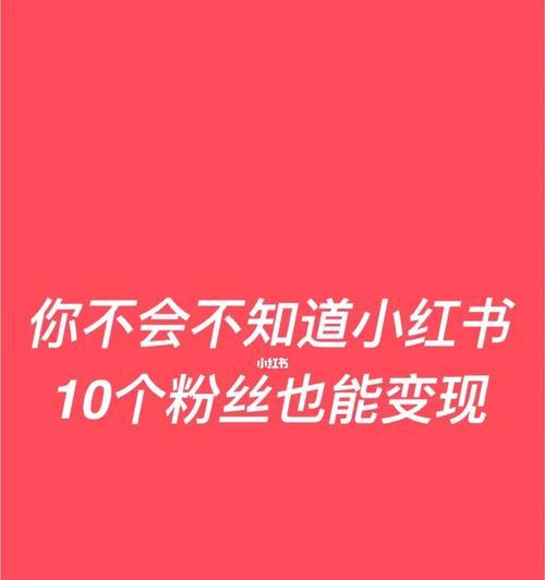 发现新品，享受生活（发现新品）