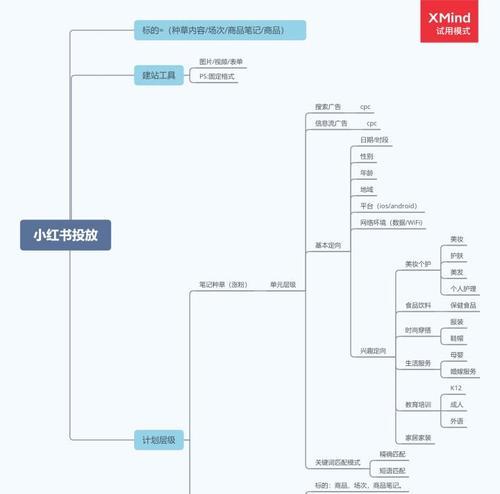 小红书信息流广告投放全解析（掌握信息流广告投放技巧）