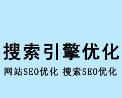 SEO优化的重点知识大揭秘（全面解析SEO优化的核心要点）