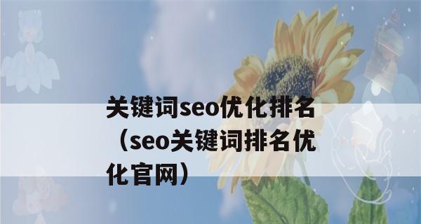 百度SEO优化技巧详解（打造优化策略）