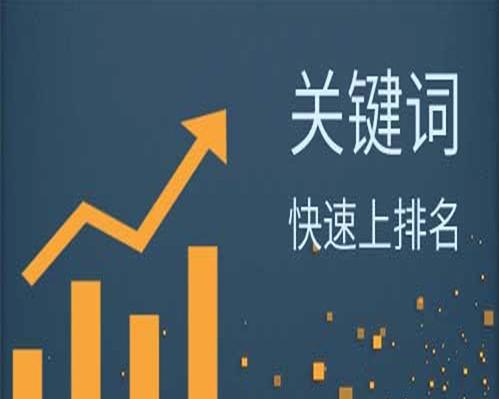 SEO优化排名的几种方式（提升百度SEO优化排名的5种技巧与4个步骤）