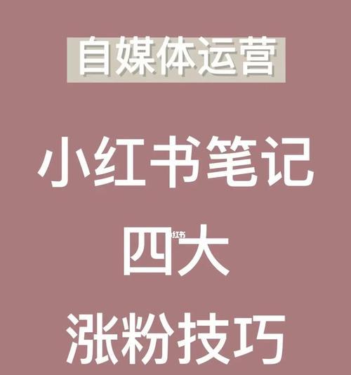 小红书加粉丝技巧分享（用这些方法轻松增加你的小红书粉丝量）