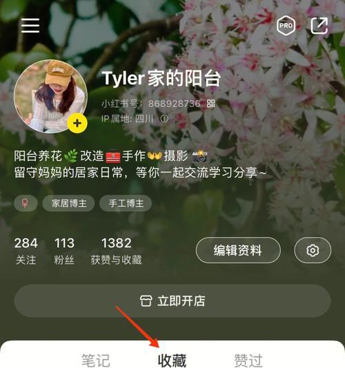 小红书账号权重解析：如何看懂你的账号影响力？