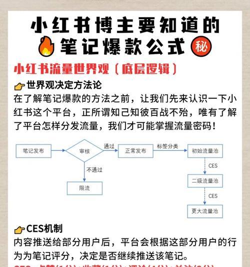 如何运营小红书专业号（从创作到推广）