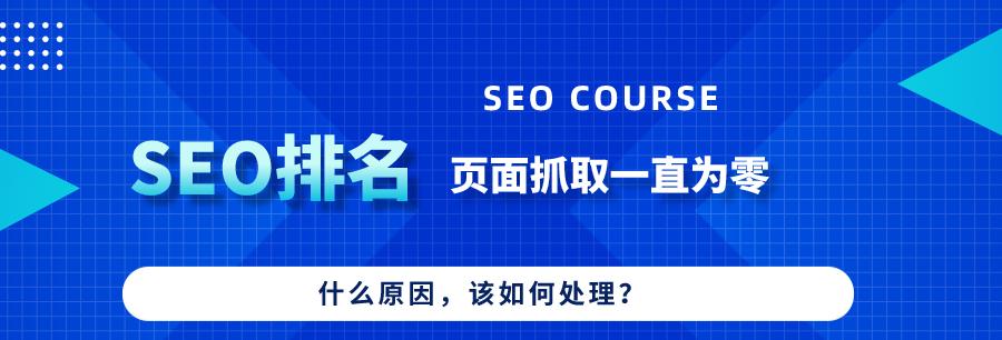 如何满足用户需求，提高网站流量（数据分析为您揭示用户需求）