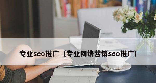 SEO网站用户体验分析（探讨SEO与用户体验的关系）