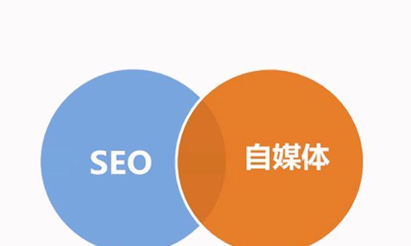 SEO优化绩效考核标准（探究如何衡量SEO优化的有效性）