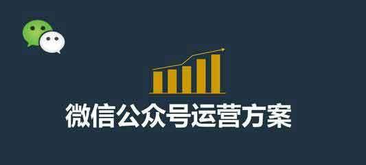 SEO优化（从研究到内容优化）