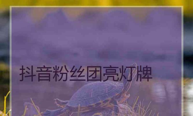 从零开始，如何升级抖音粉丝灯牌成主题（全方位指南带你打造个性化抖音主题）