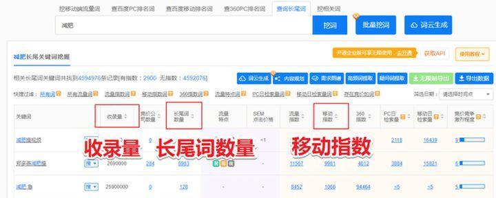如何利用长尾词优化企业网站推广（掌握长尾词优化的技巧）