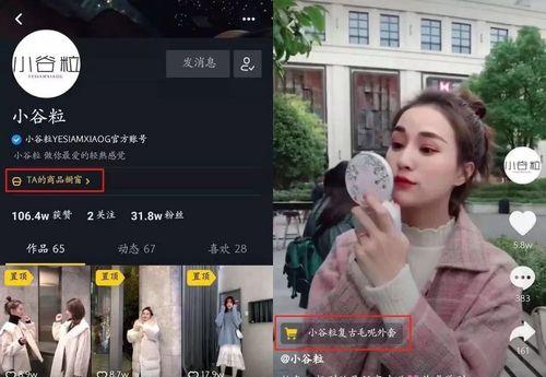 开通抖音小橱柜多少钱（了解抖音小橱柜的功能和价格）