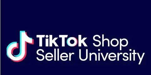 TikTokShop双12大促带你领略购物新玩法（突破传统）