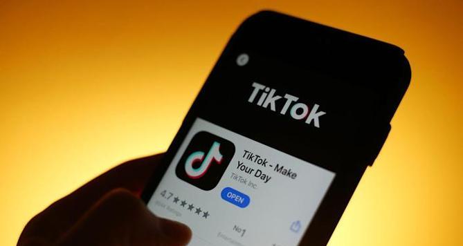 解析TikTok数据罗盘商品详情页（了解如何利用数据罗盘优化商品页面）