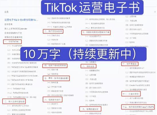 探究TikTok中文的含义（理解TikTok中文词汇）