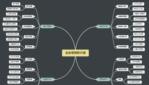 抖音企业号运营基础技巧（从零开始）