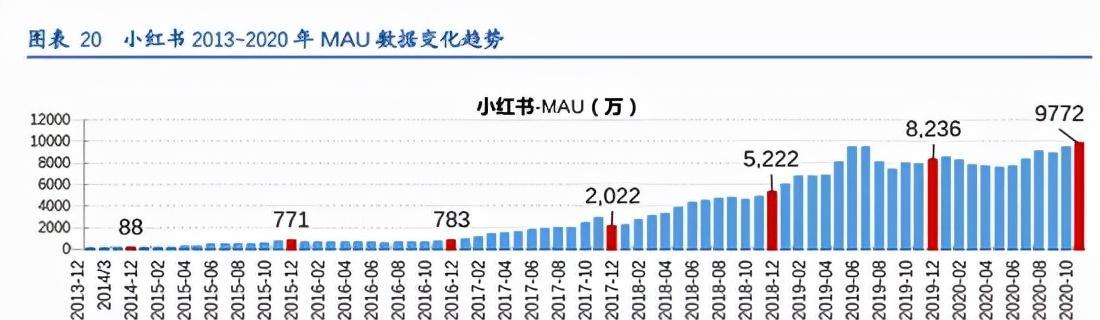 小红书个人简介折叠原因分析（解密小红书个人简介折叠背后的原因及影响）