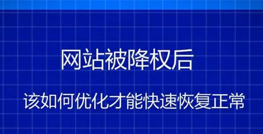 网站降权后的表现及应对方法（如何识别网站被降权）